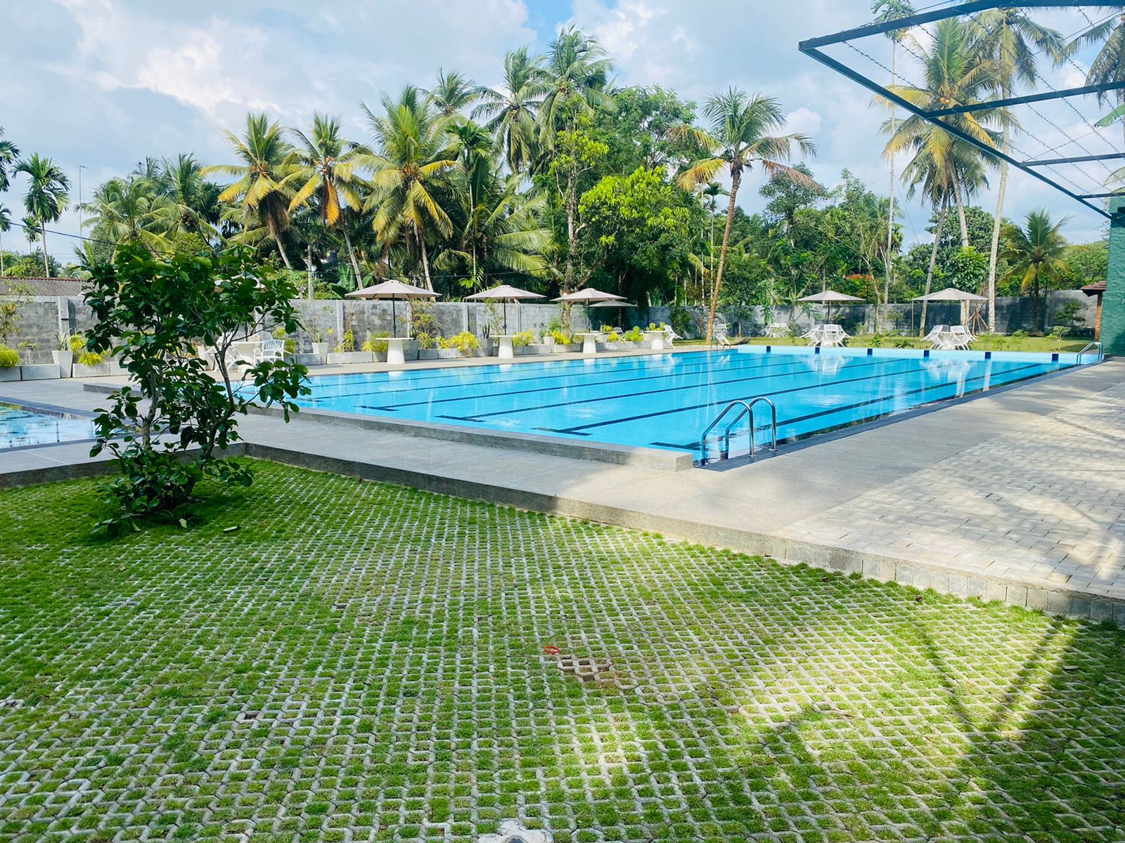 swimming pool